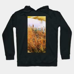 DUST Cont'd Hoodie